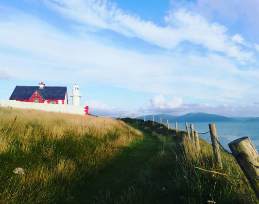 Best Things to Do in Dingle, Ireland